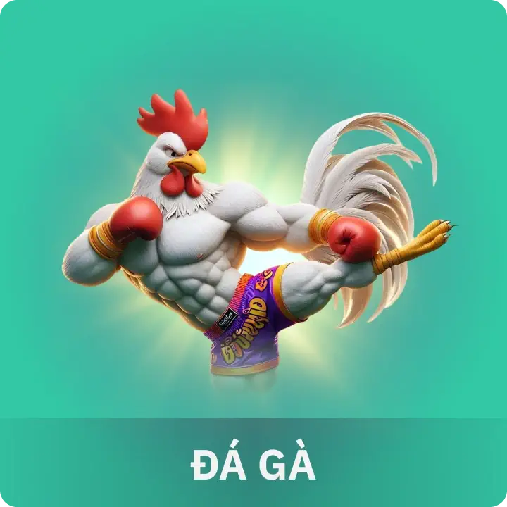 Đá gà K88